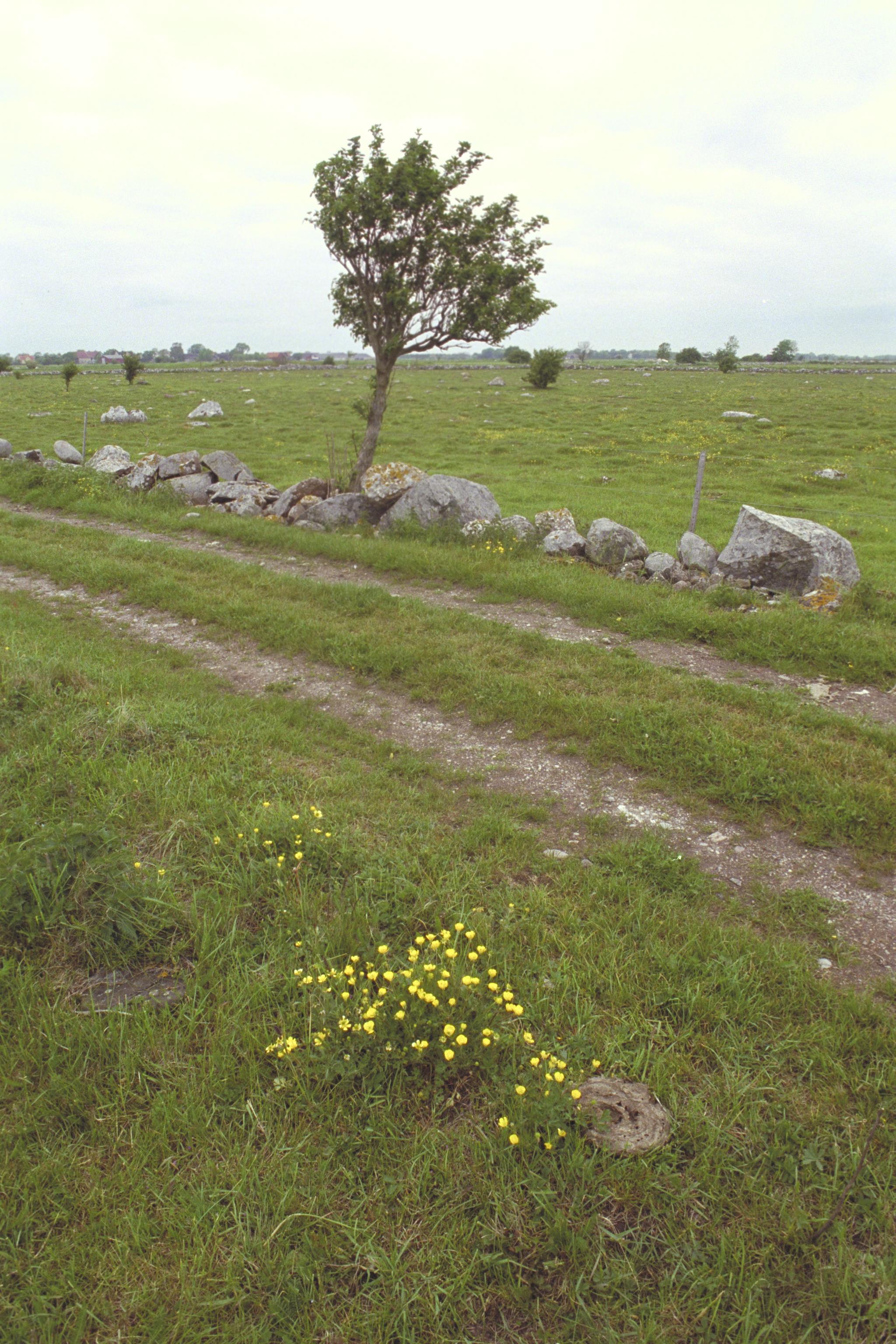 Bengt A Lundberg, Gräsgård