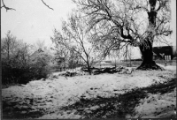 Kloster, Klosterkyrkogården