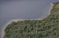 Rautasjaure - Bárddáluokta