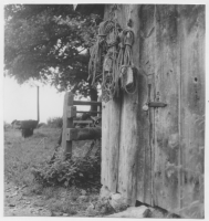 Almvik, fiske i Hjälmaren