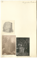 Svensksund. Runsignum Ög 15