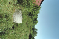 Image of Sö 195