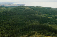 Västra Tollstad 17:1