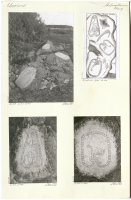 Harg. U 310, U 309, U 311.