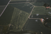 Larv (osäkert motiv)