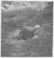 Stocksund, den berömda källan