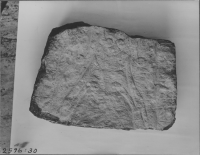 Skänninge, Allhelgona Församling