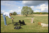 Image of Öl Fv1911;274B