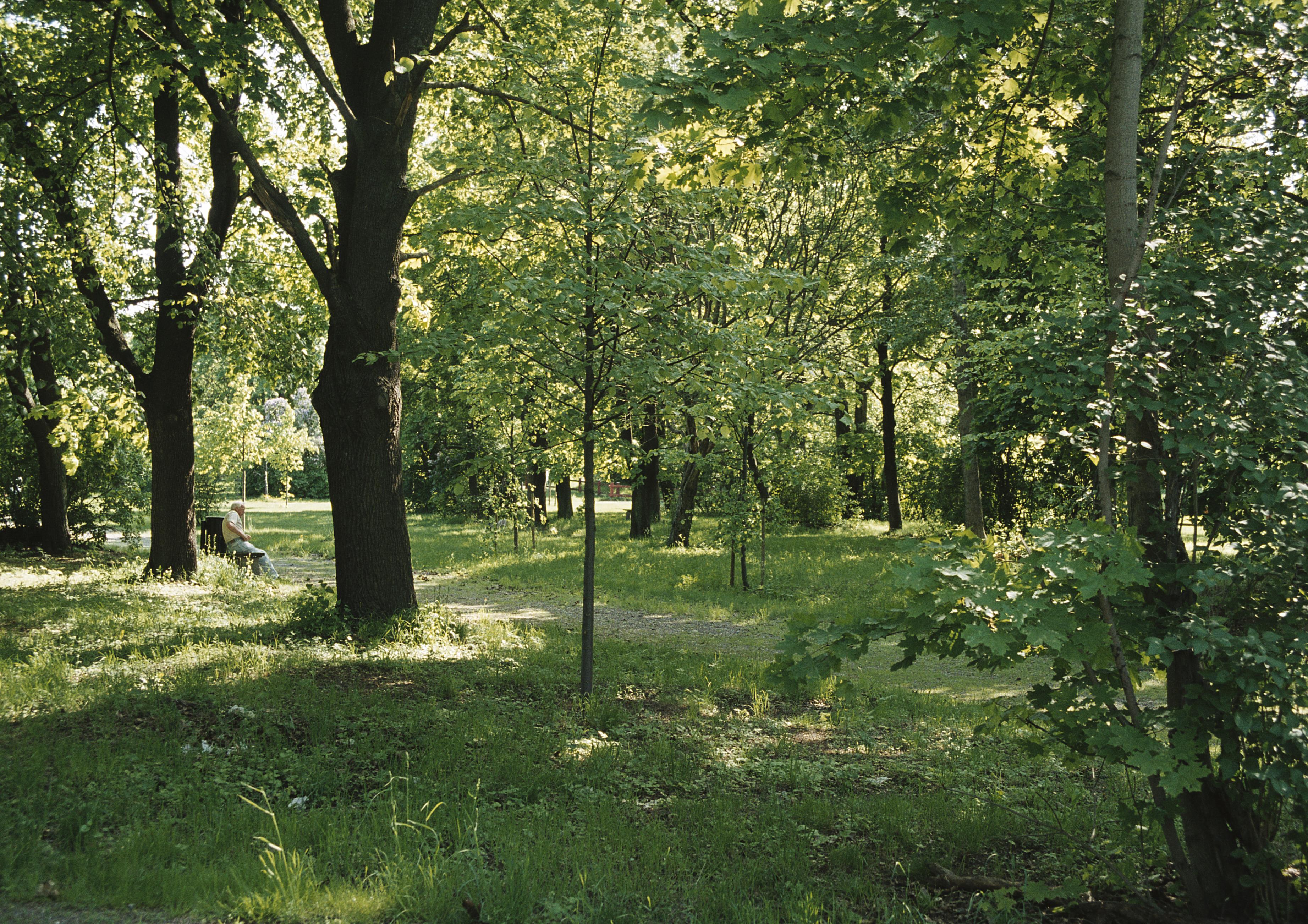 Bengt A Lundberg, Kolerakyrkogården i Stockholm