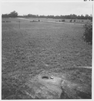 Toftaholm, skålgrop i fast häll bredvid Lagastigen