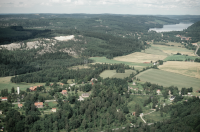 Fröskog
