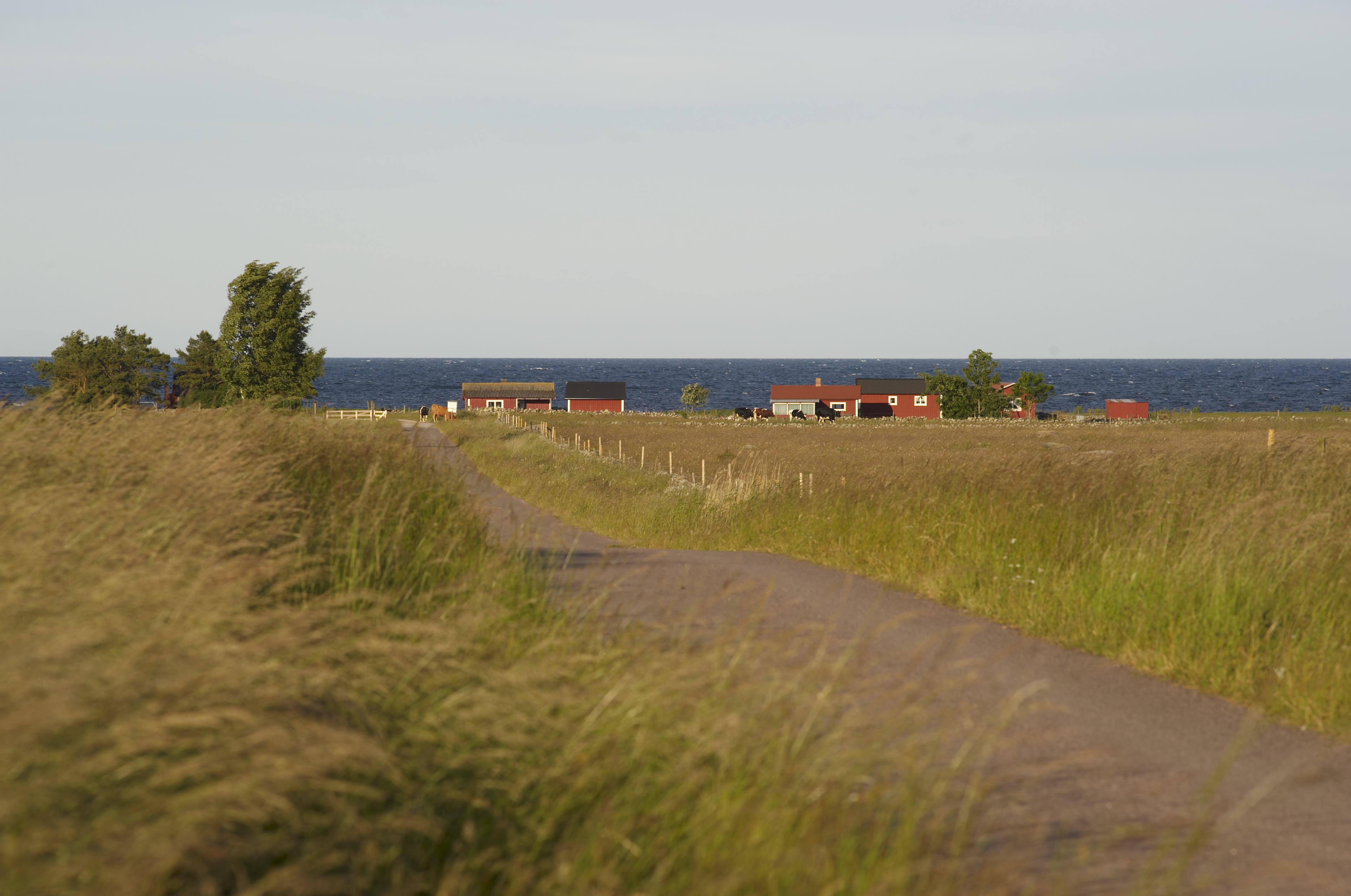 Bengt A Lundberg, Egby