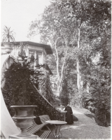 Skraenten vid Skodsborg