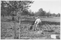 Arvidsjaur kyrkostad Märk kyrkotornet i nedre bildens övre vänstra hörn