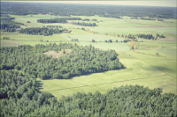 Husby-Långhundra 156:1