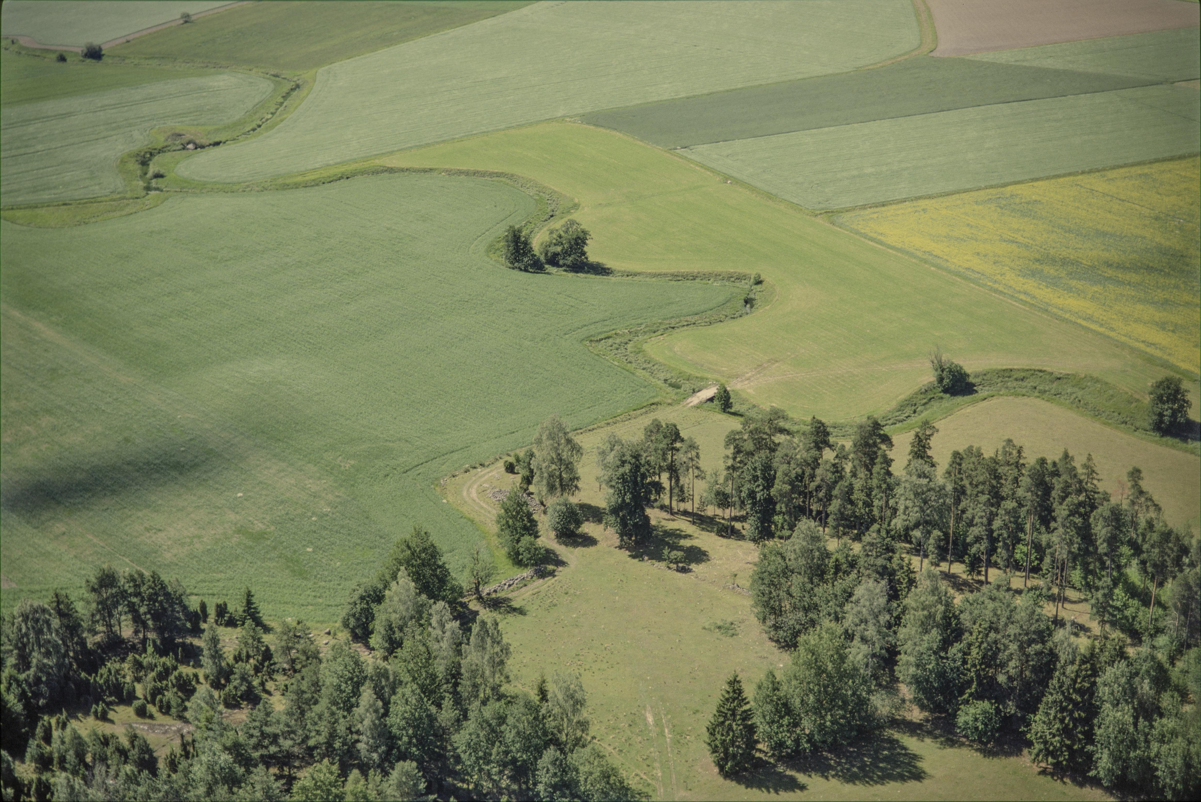 Jan Norrman, Munktorp 271:1