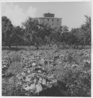 Tynnelsö slott