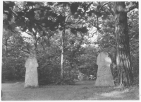 Hammars äng bildstenar