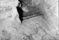 Skara domkyrka (Sankta Maria kyrka)