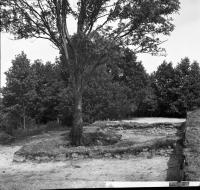 Vänersborg, Naglums kyrkoruin