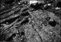 Alvastra pålbyggnad