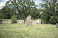 Image of Sö 333