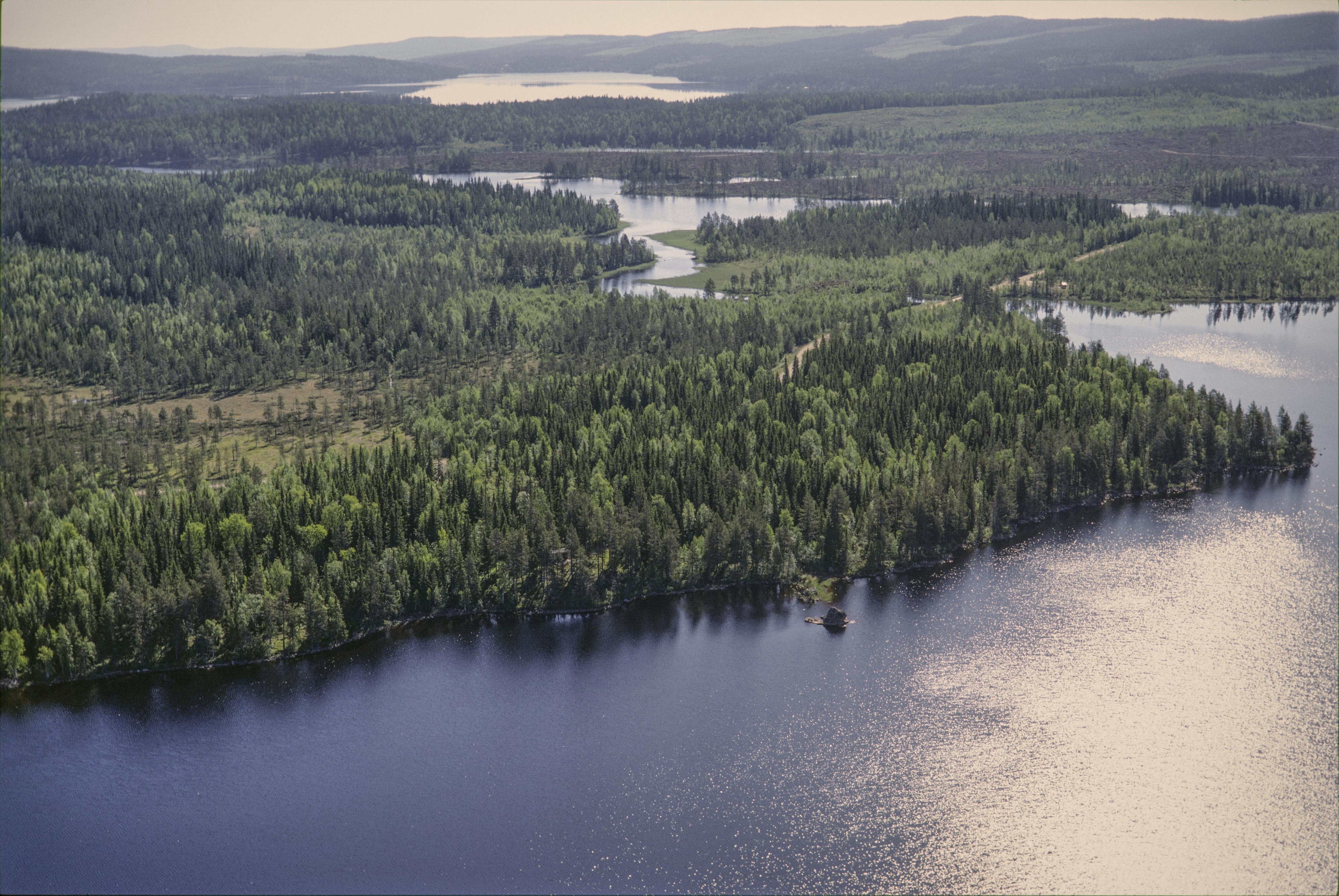 Jan Norrman, Sidensjö 1:1