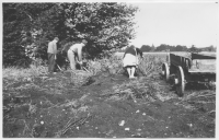 Lekaryds socken, potatisskörd