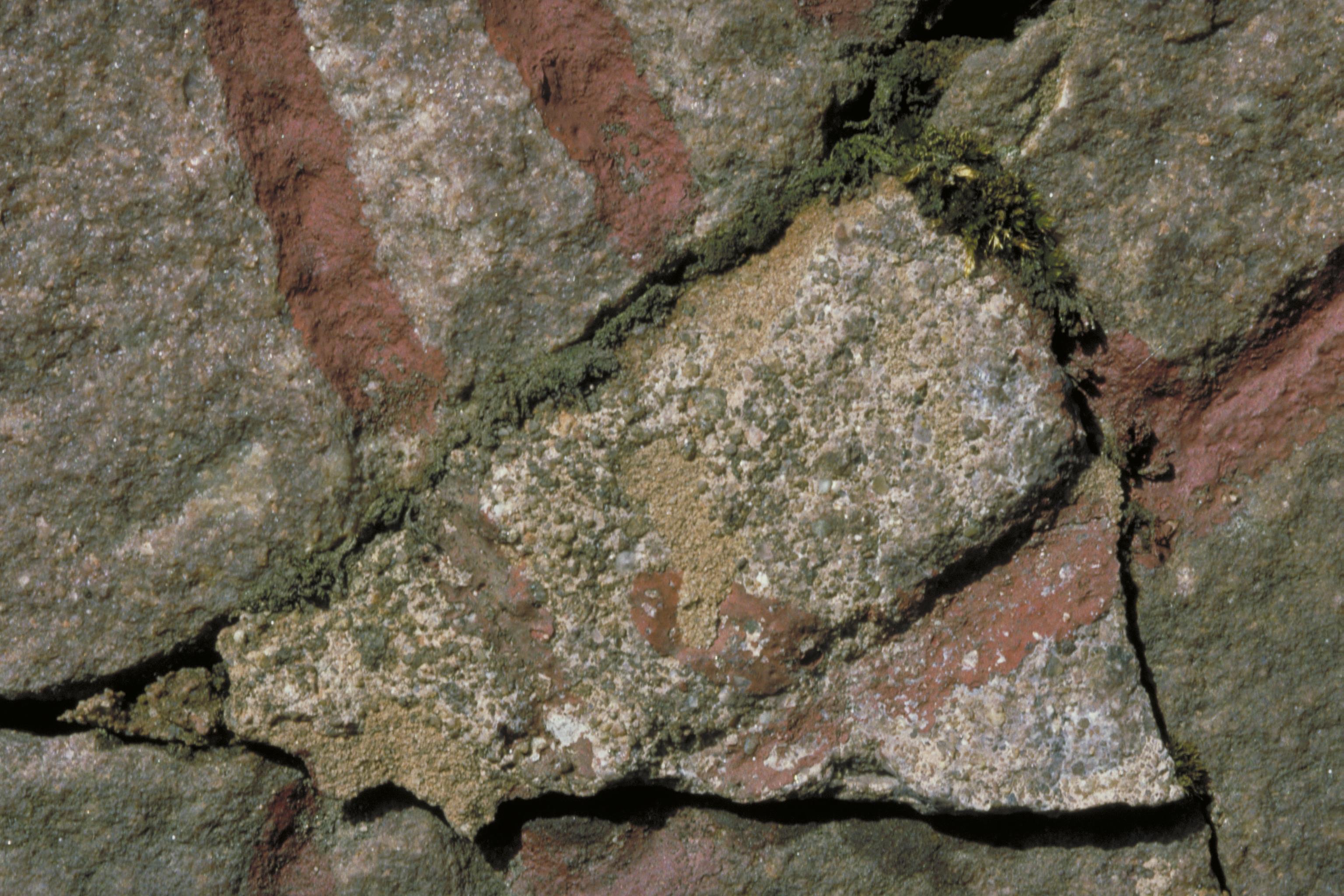 Bengt A Lundberg, U1149 Fleräng