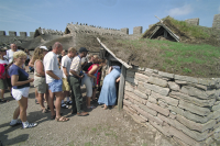 Image of Öl ACTARC37;211