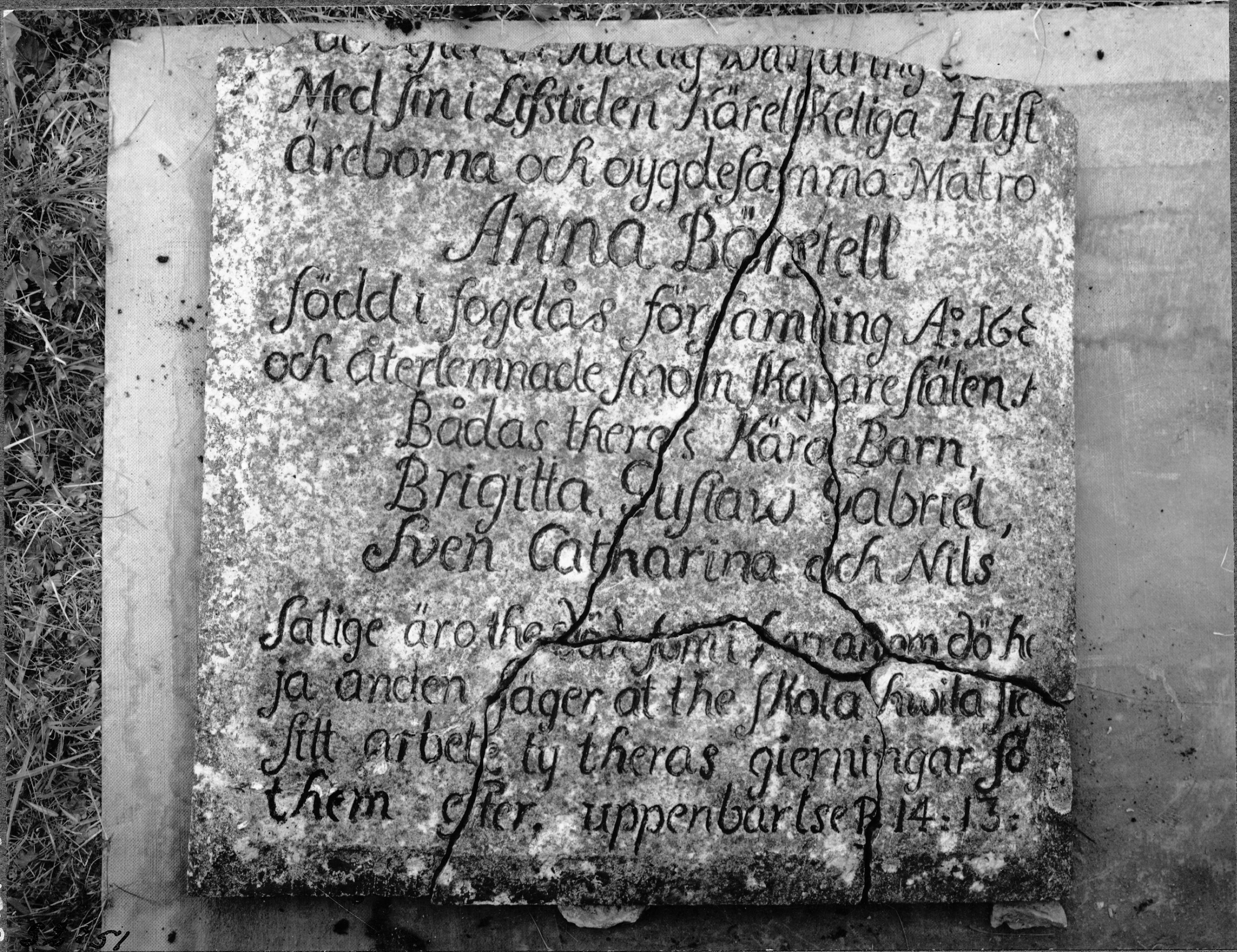 Harald Widéen, Skara domkyrka (Sankta Maria kyrka)
