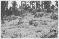 Järnvägen Kropptjärn - Fågelsjö