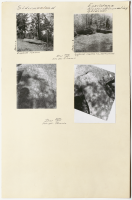 Klosters församling, Gårdskäl. Runsignum Sö Fv1993;229