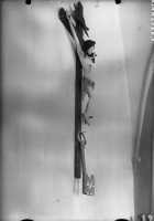 Image of Vg Fv2007;37