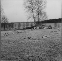 Bergs kyrkoruin