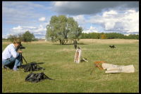 Image of Öl Fv1911;274B