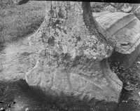 Image of Vg Fv2007;37