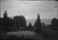 Norrvikens Trädgårdar