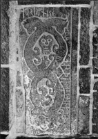 Image of Bo NIYR5;221A