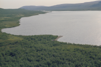 Rautasjaure - Bárddáluokta