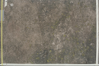 Litsleby Forskningshällen