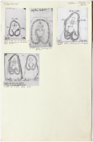 Jädra tä. U 628, U 627.