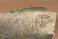 Image of DR ATA411-5119-1998