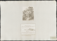 Salebystenen vid Dagsnäs.