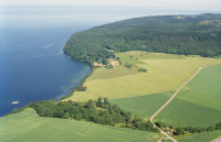 Västra Tollstad 93:1