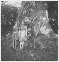 Toftaholm, jätteekar norr om gården