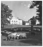 Drottningholms slott