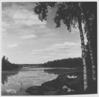 Söderbärke Dammsjön