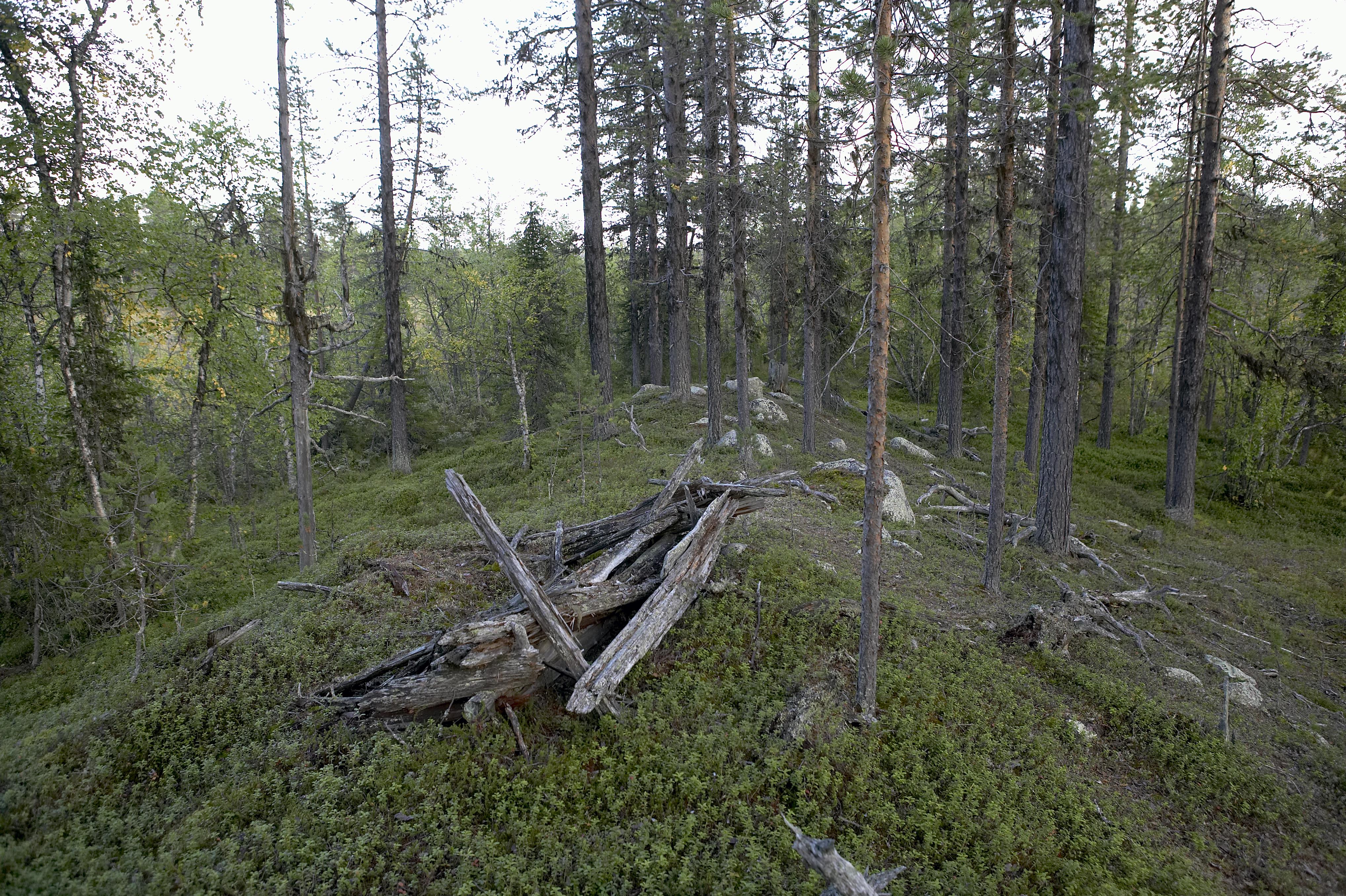 Bengt A Lundberg, Kaltisbäcken