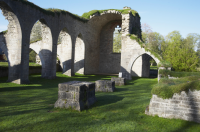 Image of Ög HedvallMenander473